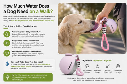 How Much Water Does a Dog Need on a Walk? | PAWAQUA Paw Aqua