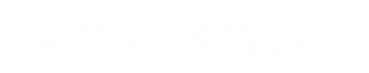 White PawAqua logo with paw icon